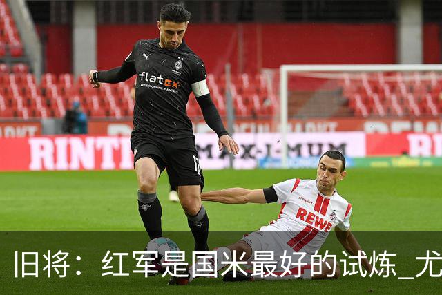 旧将：红军是国米最好的试炼 尤文失去C罗问题大