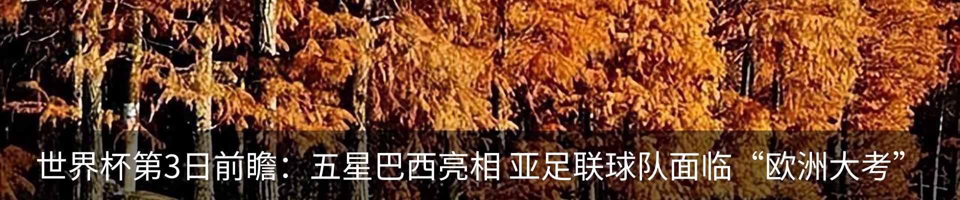 资讯中心
